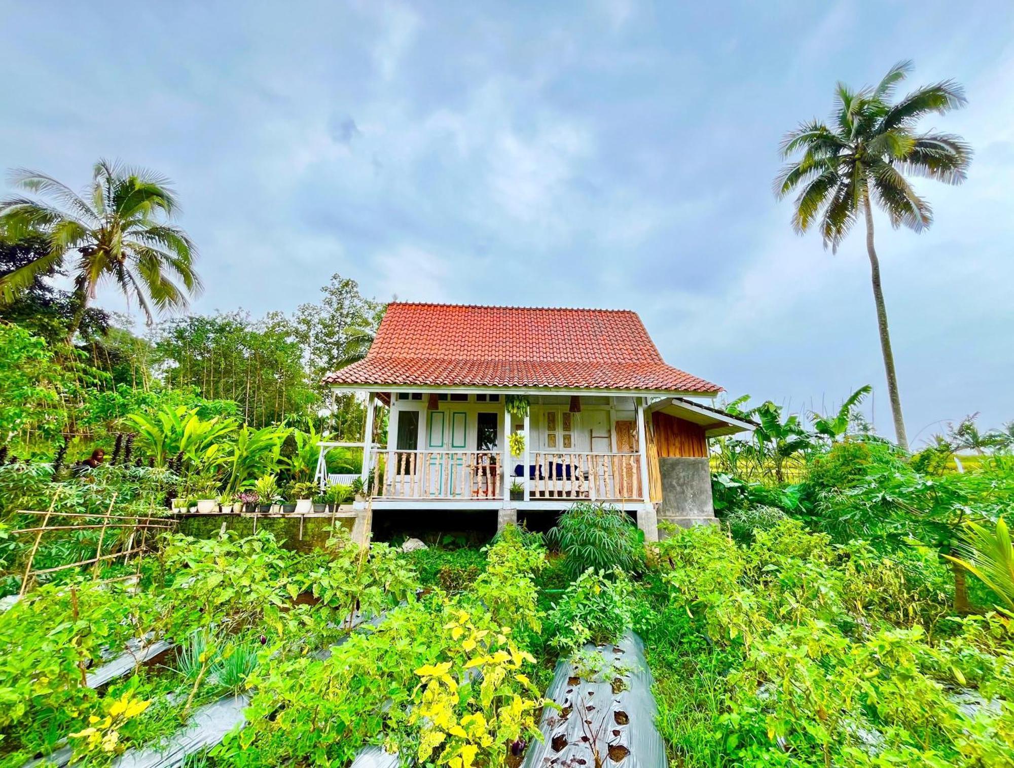 Pondok Is Oke Villa Scenic View Banyuwangi  Exterior foto