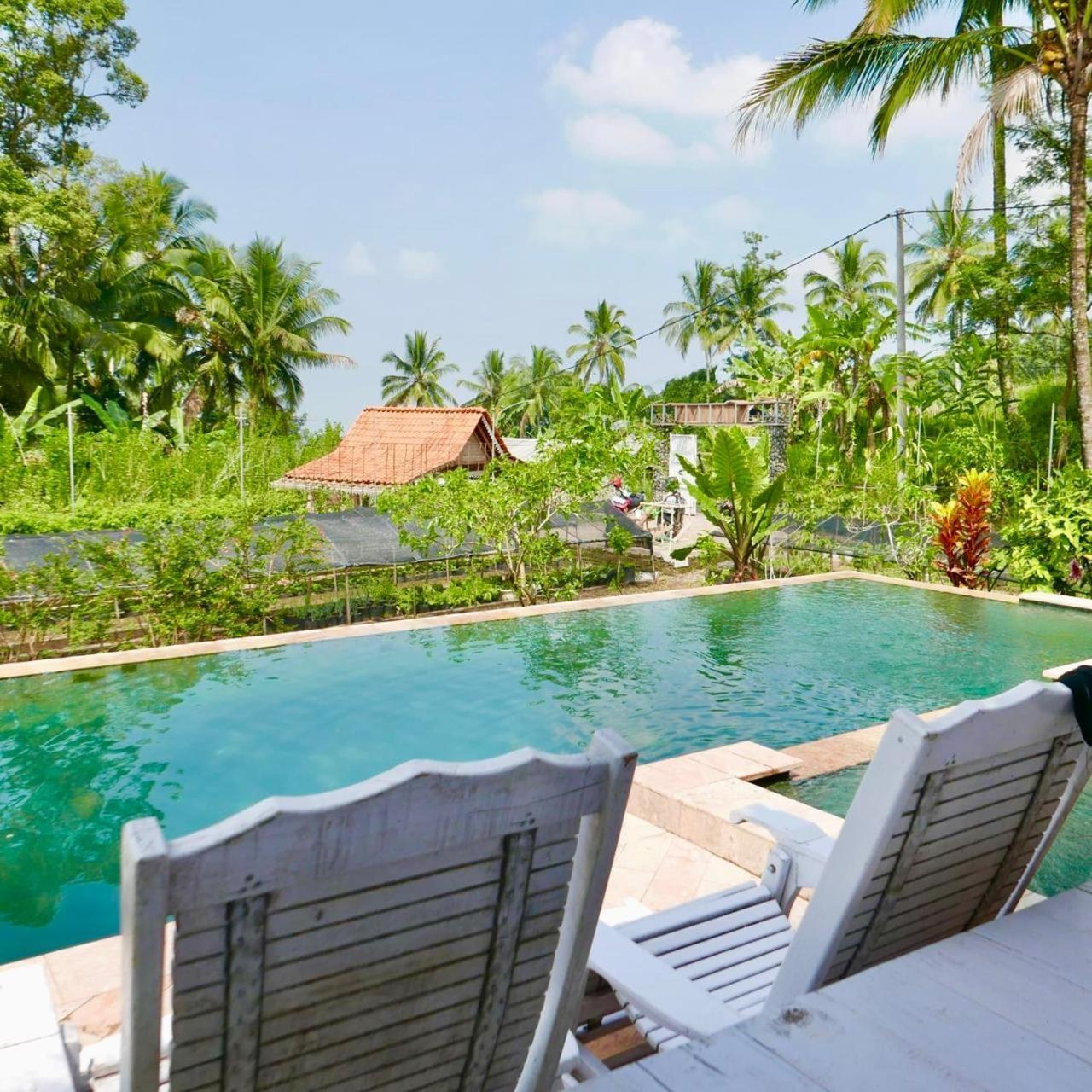 Pondok Is Oke Villa Scenic View Banyuwangi  Exterior foto