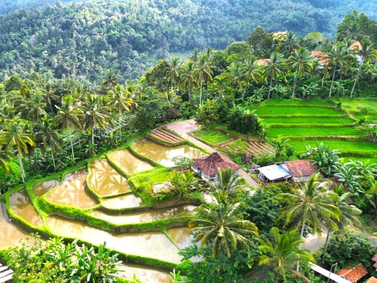 Pondok Is Oke Villa Scenic View Banyuwangi  Exterior foto